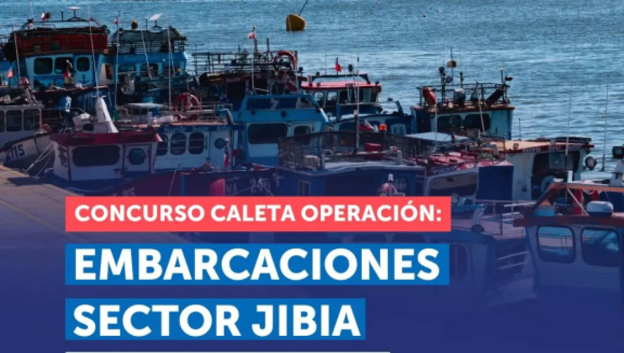 /indespa-activa-fondo-para-mejorar-equipamiento-de-flota-artesanal-jibiera