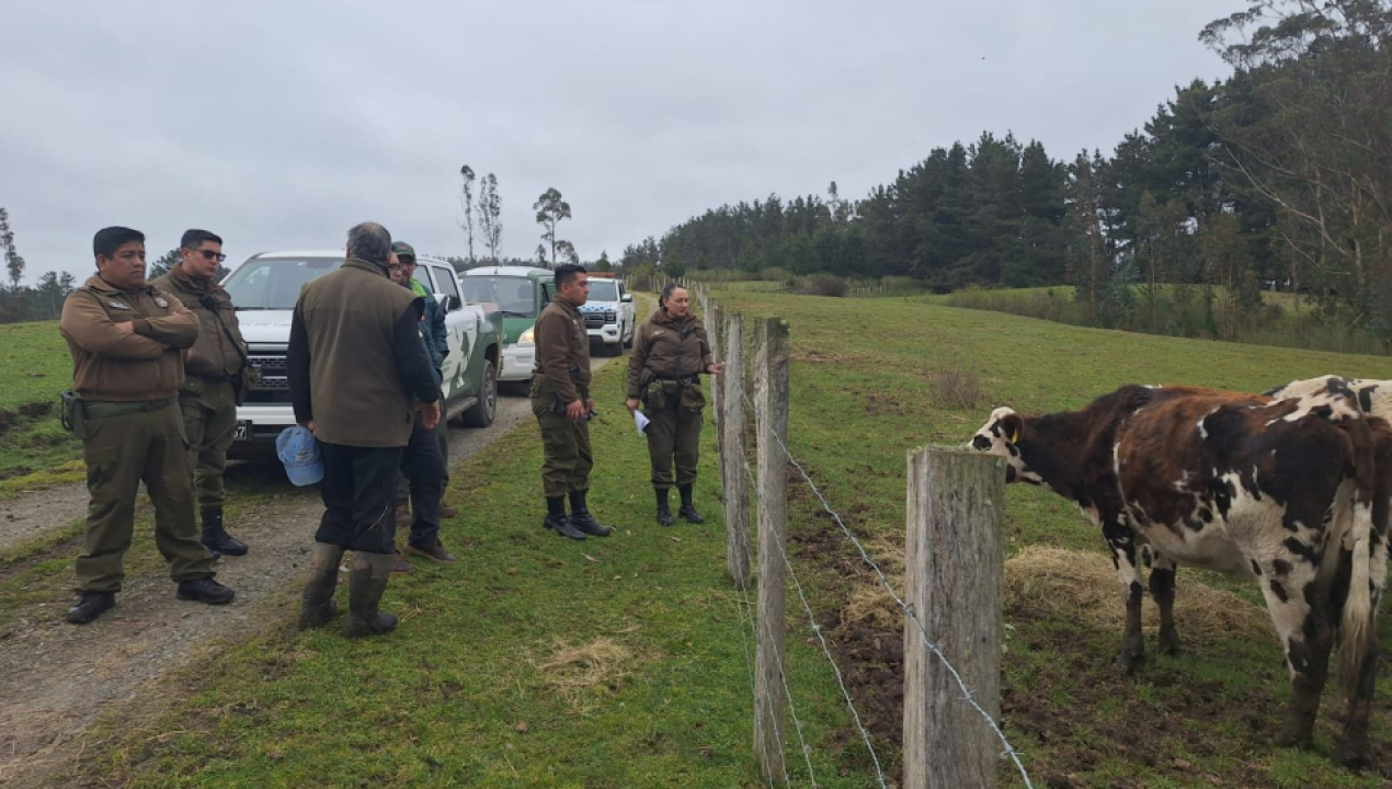 /refuerzan-operativo-preventivo-contra-el-abigeato-en-la-comuna-de-lebu