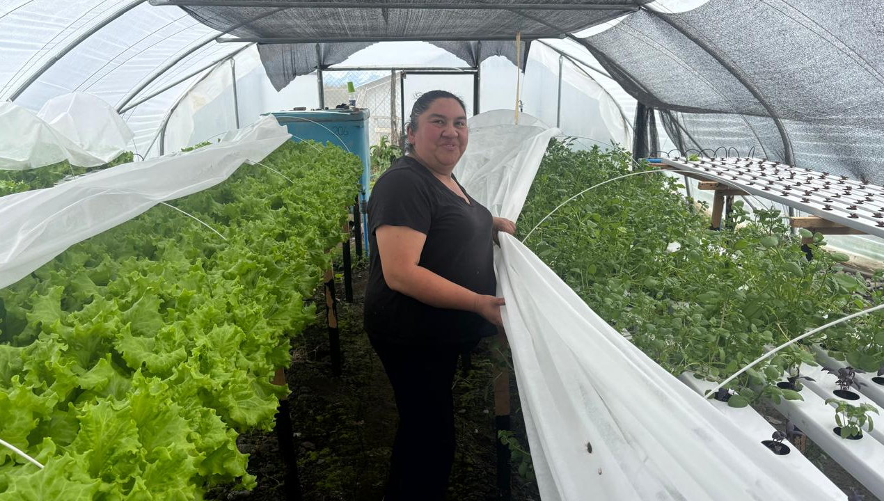 /agricultores-natalinos-aseguran-20-dias-de-autonomia-hidrica