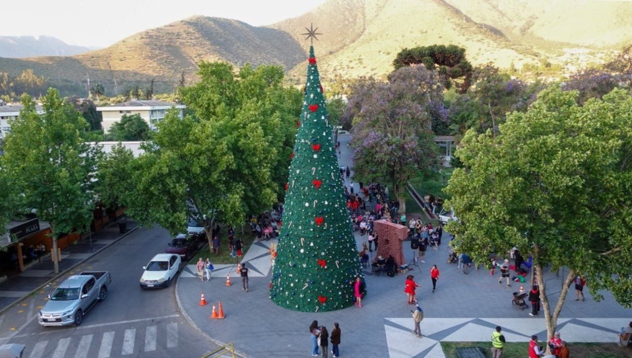 /salamanca-enciende-su-arbol-navideno