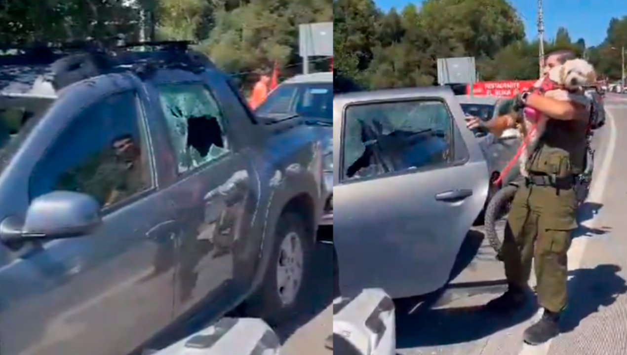 /regionales/region-del-biobio/rescatan-a-perrito-que-fue-dejado-encerrado-en-vehiculo-en-medio-de-altas
