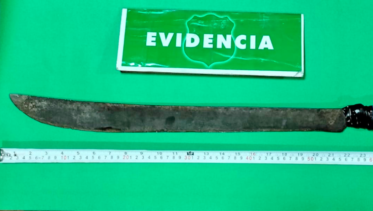 /regionales/region-de-los-lagos/adolescentes-son-detenidos-tras-robar-bicicleta-andaban-con-un-machete