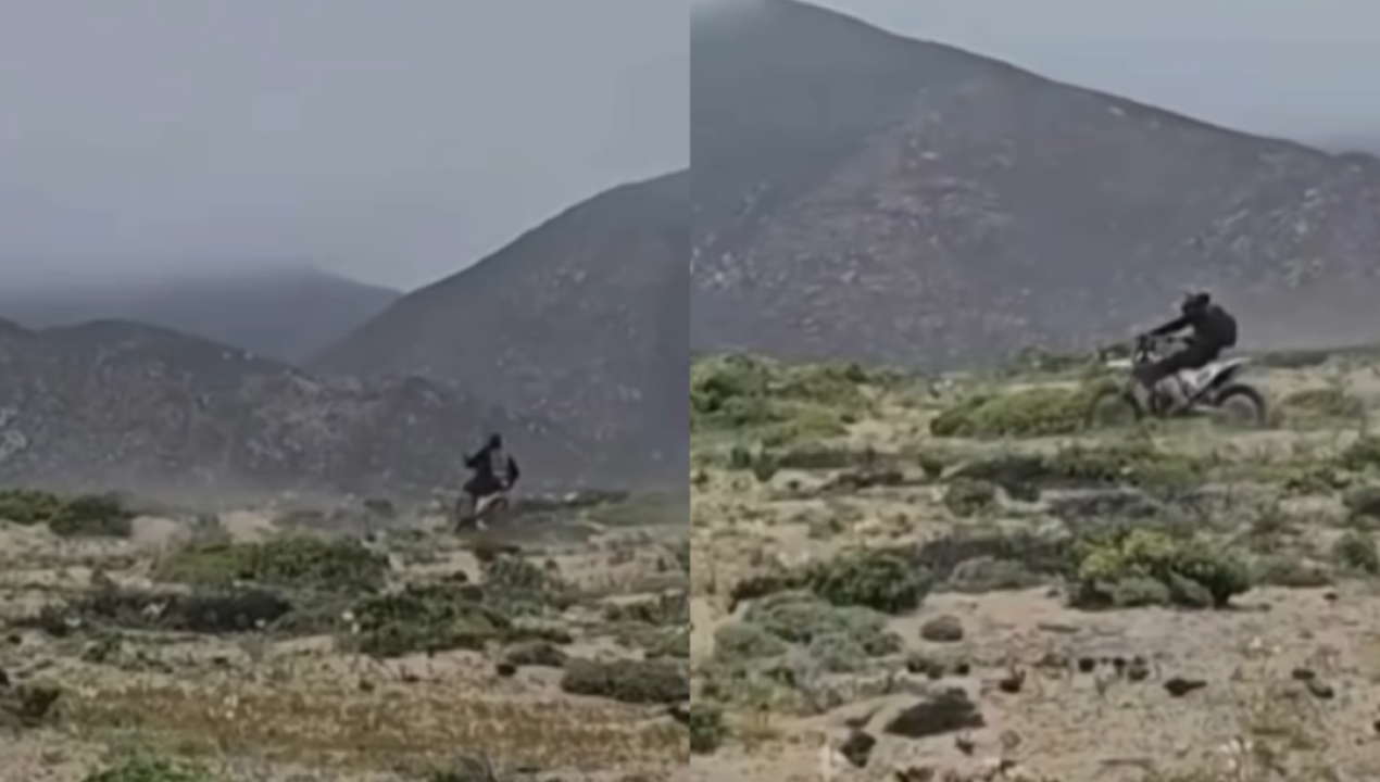 /actualidad/motociclistas-arrasan-el-desierto-florido-y-desatan-ola-de-indignacion