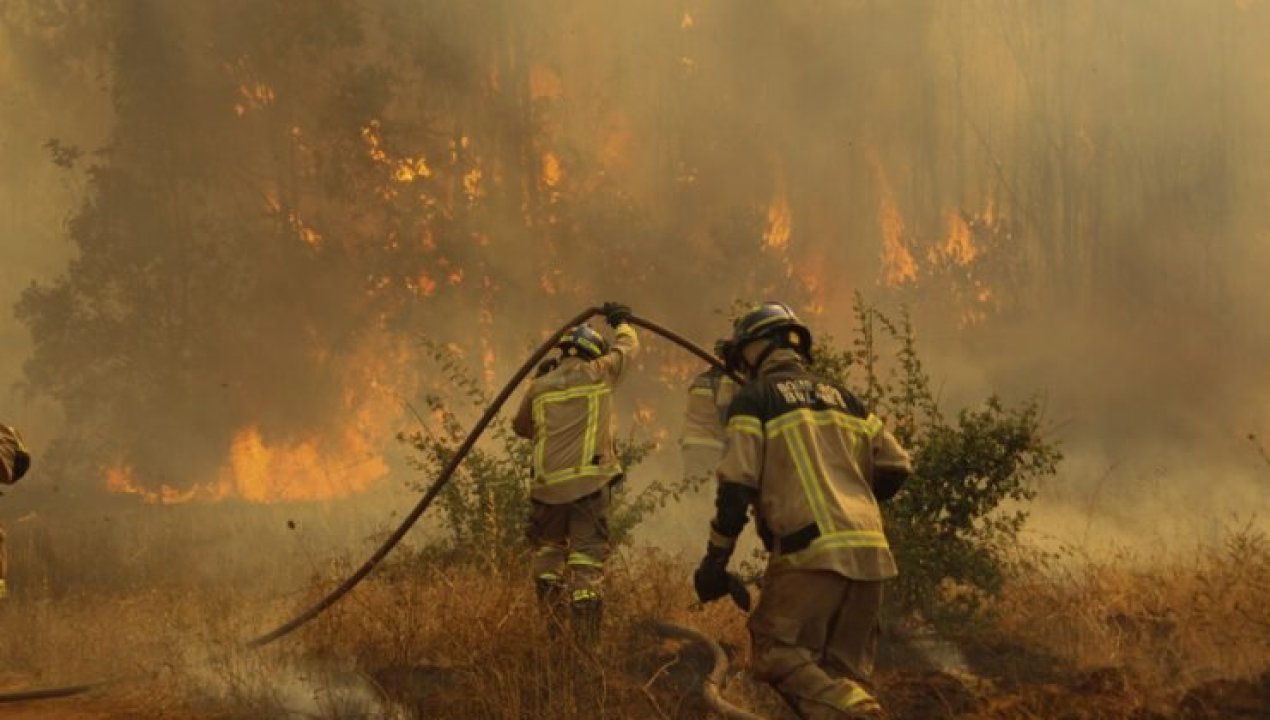 /actualidad/alcalde-de-bulnes-confirma-adulto-mayor-fallecido-por-incendio-forestal-en