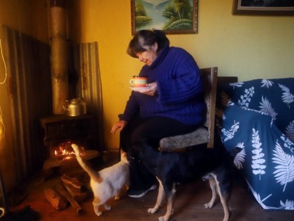 Abren postulaciones para recambio de calefactores en Valdivia y Temuco