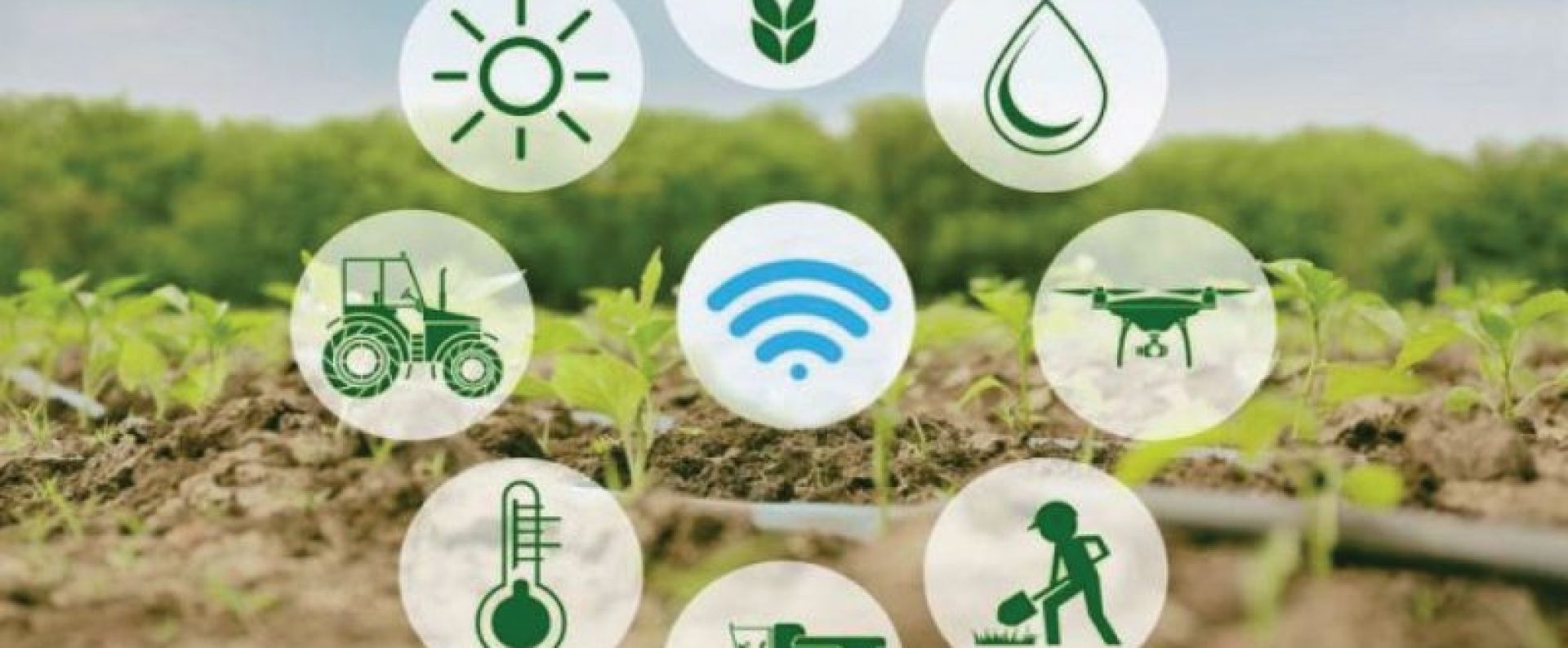 “Día de Campo para la reconversión del secano”: Proyecto UC y GORE O’Higgins invita a agricultores a conocer los beneficios del riego tecnificado en frutales