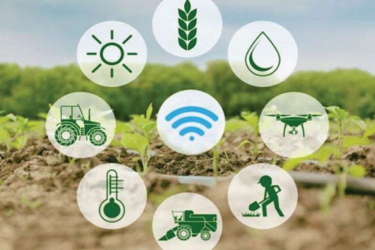 “Día de Campo para la reconversión del secano”: Proyecto UC y GORE O’Higgins invita a agricultores a conocer los beneficios del riego tecnificado en frutales